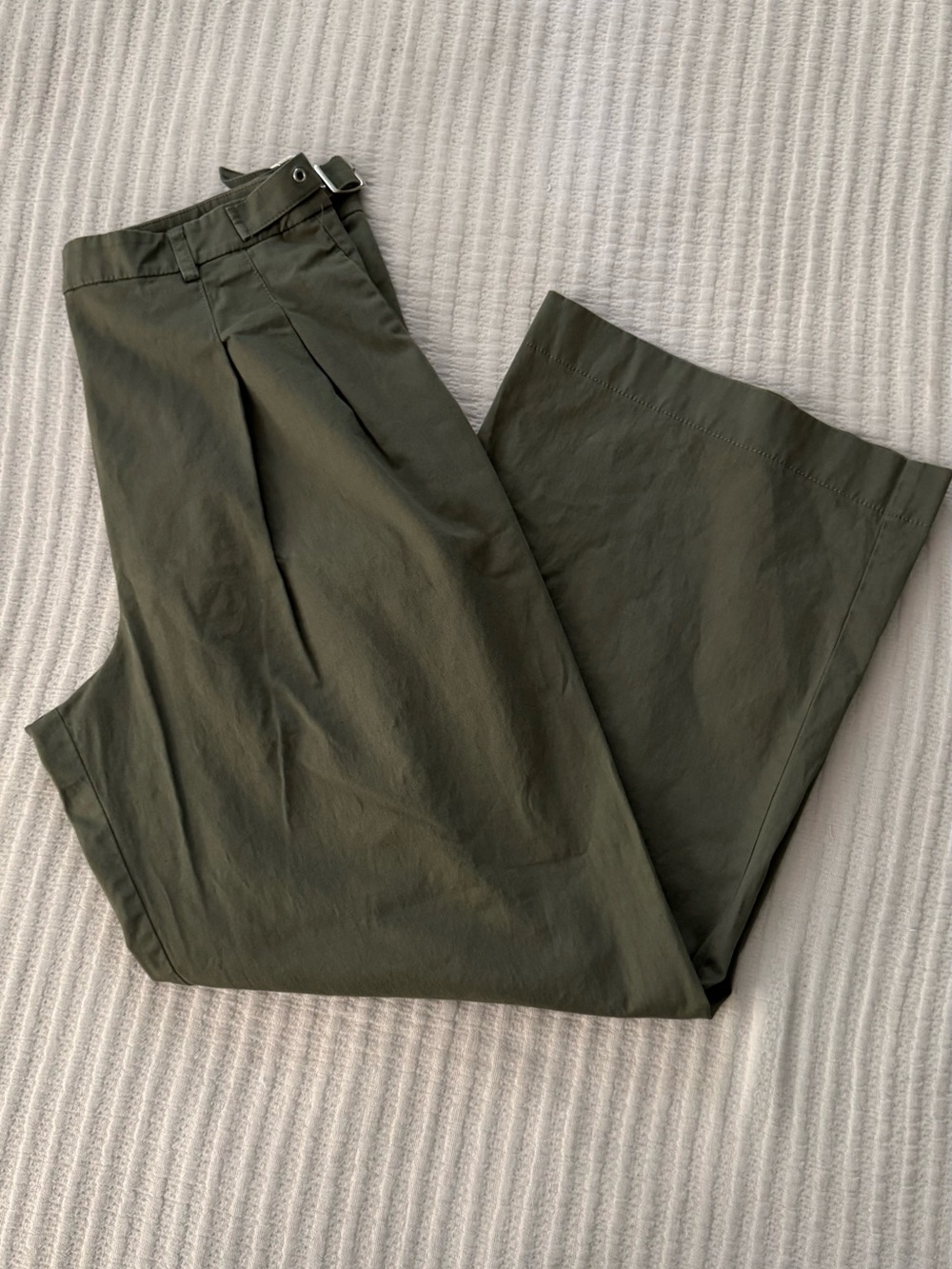 Abercrombie & Fitch Dark Olive Pleated Trousers